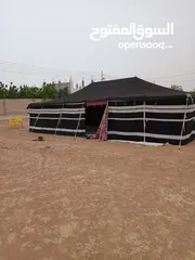 2 خيم شعر تراثية تفصيل سعودي