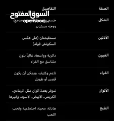 6 قطه سكوتش فولت للبيع بسعر مغري  قابل للتفاوض