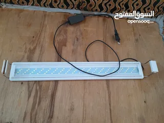  4 حوض سمك كريستال