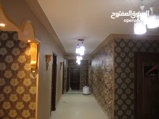  5 شقة في الاسكندرية العجمي الهانوفيل