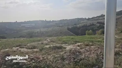  4 ارض للبيع البصه الحكر 5 دونمات و484 م  تصلح لبناء قصر ذات اطلاله