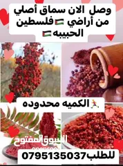  7 كعك ومعمول ومقروطه وغريبه ودحدح وورق عنب وملوخيه وكبه  ومقدوس وكيك