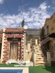  7 مزرعة للايجار اليومي  في الغور منطقه الجوفه بأسعار مناسبة وبدأت حجوزات عيد الاضحى المبارك