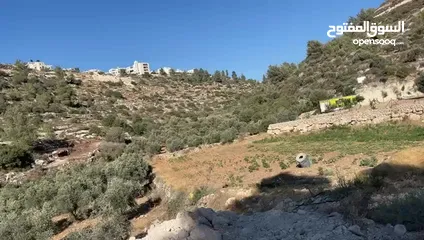  3 أرض للبيع في الخليل منطقة الرفاده - الحي الجنوبي