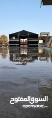  20 خيم  باكستانيه ملوكيه