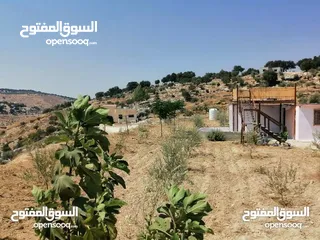  4 مزرعة في اربد كفر اسد للبيع