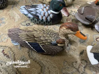  11 تحف لطيور كندية - مجموعة 20 قطعة - تم شراءها من كندا