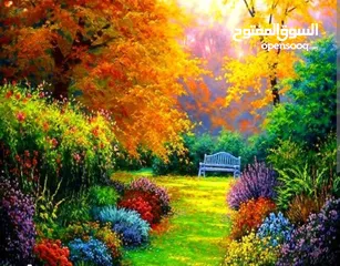  1 أرض حلوة .جنة ع الارض .(لوزا .منطقة تفوح)