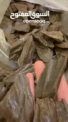  4 عرض اليوم للعود الأزرق أفضل أنواع الكلمنتان