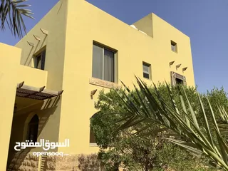  30 مزرعة في البحر الميت/ الشونه الجنوبية / السويمه / حوض جلد مميزة للبيع للجادين فقط