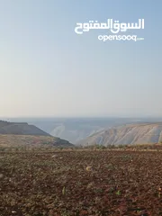 15 مزرعه أربعه دونم مشيكه بالكامل ارض زراعيه وبيت ريفي غرفتين وحمام ومطبخ صغير وباربكيو وساحه واسعه
