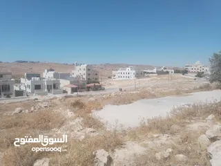  3 من المالك ارض في شفا بدران حوض المقرن 2