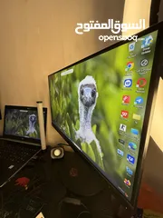  2 جهاز لابتوب hpمع شاشتين 168hz Lenovo مع طاولة gaming+كرسي gaming + اضاءة spotlight + جميع الملحقات