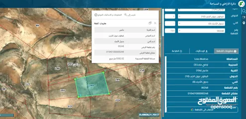  20 مادبا ماعين قطعة أرض زراعية مميزة مطلة على البحر الميت والضفة الغربية بمساحة 21 دونم