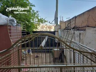 15 قفص ببغاء كبير يتسع لأكثر من طير مستعمل نظيف
