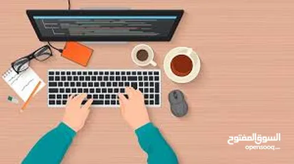 3 دورة مدخل بيانات