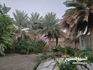  6 نزوى غرفة للايجار في سوق نزوى Room for rent in Nizwa city