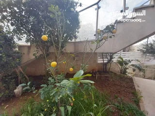  17 Apartment for rent in abdoun  ( Property 36956 )-174813780