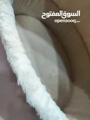  7 بيت قطط 2 في 1: بيت قطط صيفي وشتوي عصري! سهل التحكم فيه، يتحول ليناسب الجو. مصنوع من جلد قوي