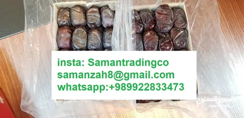  1 النخيل والتمور Mazafati Dates رطب مضافتی