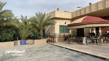  3 مزرعة للبيع في الغور في منطقة الروضة  المزرعة لم تؤجر و استخدام شخصي فقط