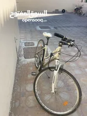  3 Used Cycle