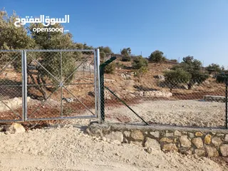  5 ارض مميزة في زبدا الكاشف