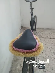  3 بسكويت فلبس نمره 26/25 في حال الوكاله