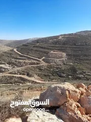  1 ارض بسعر مناسب