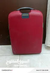  1 شنته عظم بحاله ممتازه
