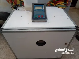  1 فقاسه 700 بيضه