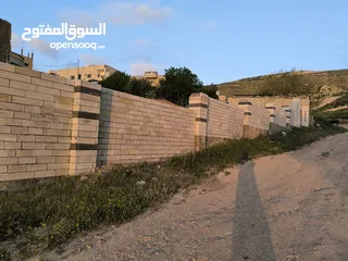  2 لقطة منزلين للبيع   على  ارض 2 دنم في قرية ابو نصير