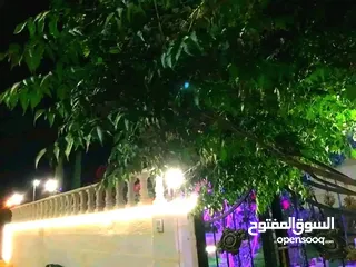  22 بيت للبيع سحاب بالعبدليه