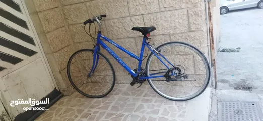  1 دراجة سباق نوع بيجو