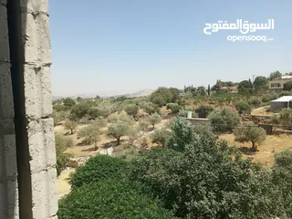  11 منزل دوبلكس للبيع مع مزرعه  شجر مزروع مثمرعدد 25 و شجر زينه 25 كرفان 70م يحتوي على مطبخ حمام وصاله