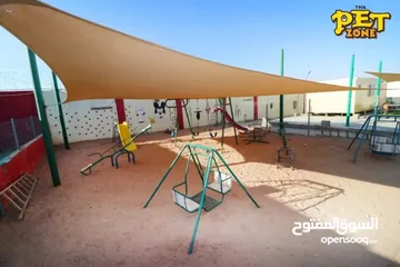  12 درّب كلبك الآن ...اكبر مركز لتدريب الكلاب