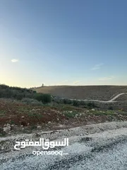  19 للبيع قطعة ارض ثلاث دنمات ونصف منطقة نادرة جرش بسعر مميز