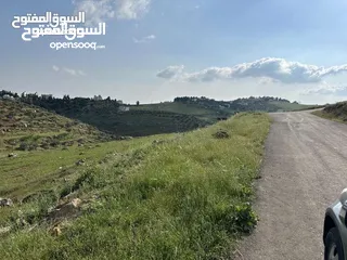  5 ارض 675 م غرب عمان/مرج الحمام/المشبك.عشارع اسفلت سكن ب 6 د عن دوار شوابكة والمريشد.منطقة خدمات وفلل