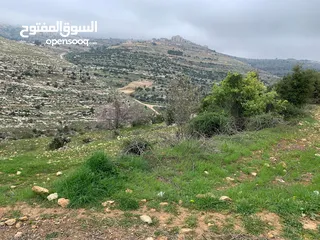  3 ارض مميزة للبيع منطقة ما بين حلحول و بيت امر