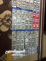  10 نمر ألمانيا واروبية