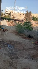  8 بيت مستقل طابقين