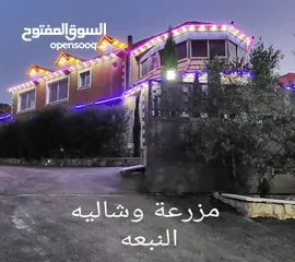  28 مزرعة وشاليه النبعه الايجار اليومي