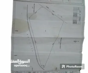  6 أرض للبيع ب واد عليان  Terrain terrain à vendre à Ouad Alian  Land for sale  in oued alian