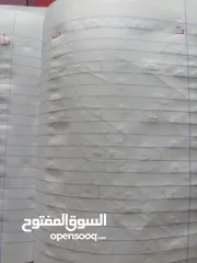  29 ليلي محمد عيسى شلالدة