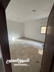  5 شقق للايجار عين الباشا