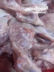  7 طعام قطط للبيع