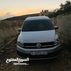  3 كادي ترخيص 2019