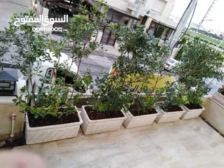  8 قوار حجر صناعي
