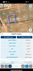  12 نمر سكن في رباع السرحان بالقرب قريبة لمدينة المفرق