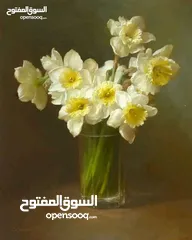  3 شراء كمبيوات سيارات خردة + خردة عامة